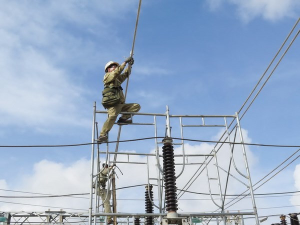 Đảm bảo an toàn thi công dự án đường dây 220kV Cai Lậy-Trà Nóc ảnh 1