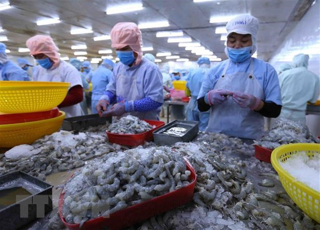 Tôm vẫn là 'át chủ bài' của xuất khẩu thủy sản trong những năm tới ảnh 3