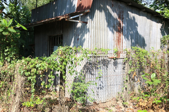 Thành phố Hồ Chí Minh kiên quyết thu hồi các dự án "treo" ảnh 2