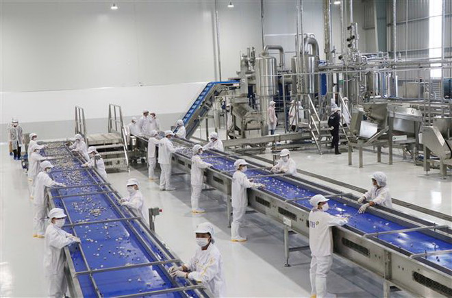 Vận hành Nhà máy chế biến hoa quả tươi và thảo dược Vân Hồ ảnh 1