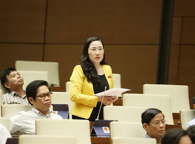 Hoàn thiện cơ chế, chính sách về xử lý vi phạm hành chính ảnh 2