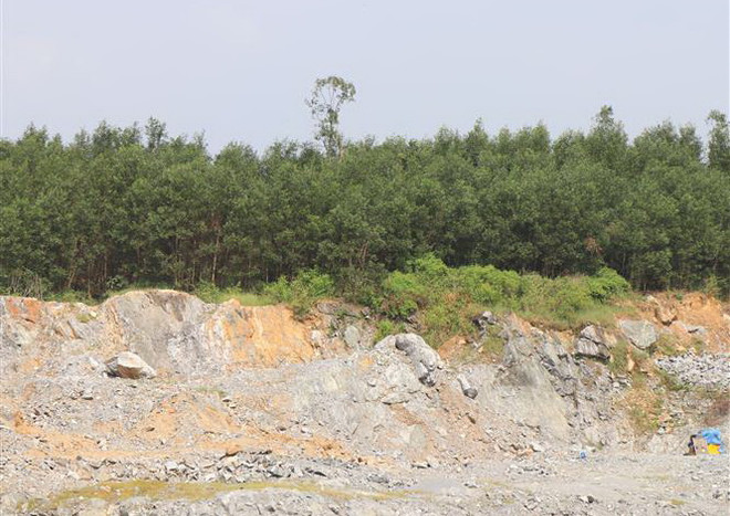 Sau phản ánh của TTXVN, Quảng Ngãi làm rõ tin DN bị cản trở sản xuất ảnh 1