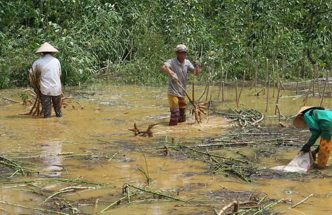 Quảng Trị, Thừa Thiên-Huế khắc phục hậu quả của áp thấp nhiệt đới ảnh 1