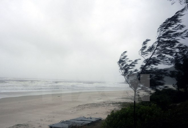 Áp thấp nhiệt đới suy yếu, khu vực Vịnh Bắc Bộ có gió giật cấp 8 ảnh 1