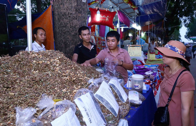 Hỗ trợ tín dụng cho hợp tác xã: Liên kết để tạo thế mạnh riêng ảnh 2