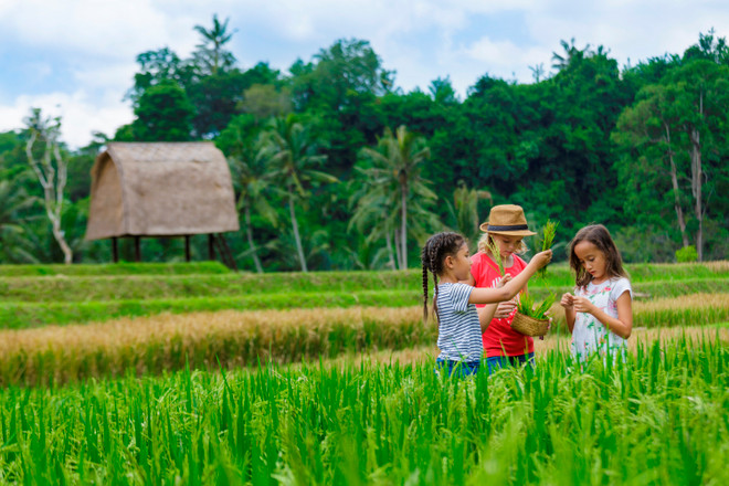 Du khách nhí thích thú khám phá và trải nghiệm thiên nhiên Việt Nam. (Ảnh: CTV/Vietnam+) UX_Mandapa, a Ritz-Carlton Reserve.jpg