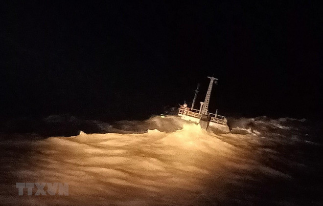 Tổ chức Hàng hải Thế giới khen thuyền trưởng tàu cứu nạn Việt Nam ảnh 1