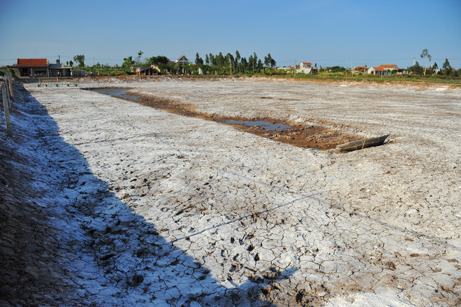 Ninh Bình: Tôm chết chưa rõ nguyên nhân trên diện tích gần 600ha ảnh 1