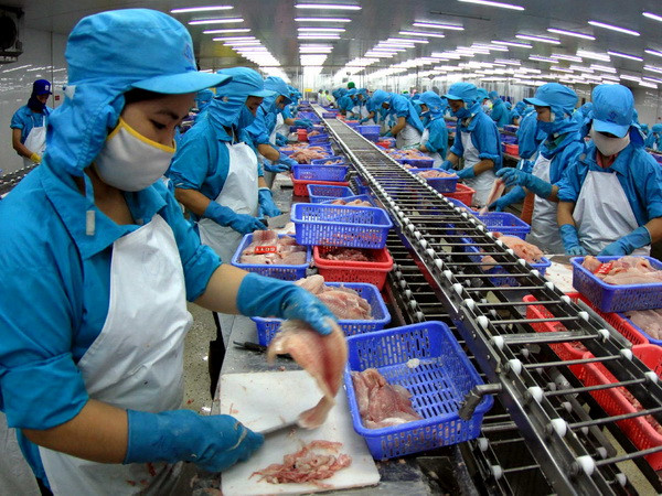 Việt Nam sẽ trở thành nước sản xuất cá tra bền vững ảnh 1