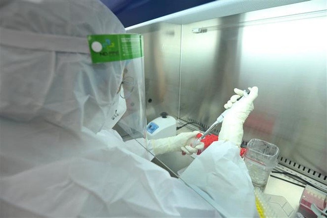 Thực hiện xét nghiệm khẳng định SARS-CoV-2 bằng phương pháp RT-PCR tại Yên Bái. (Nguồn: TTXVN) Yên Bái: Phát hiện 31 ca mắc COVID-19 trong cộng đồng ở 1 xã vùng cao ảnh 1