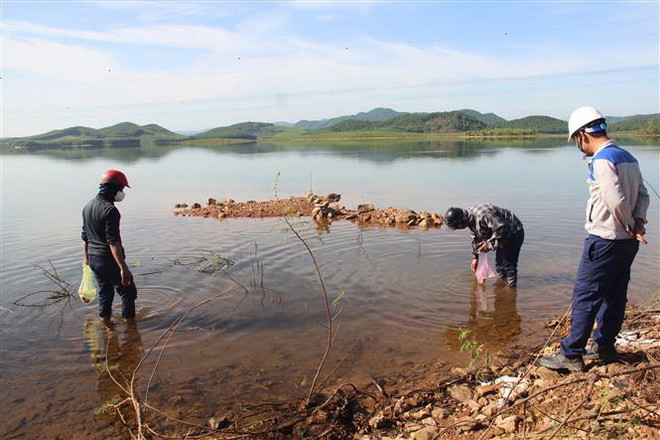 Cá chết bất thường tại hồ cấp nước sinh hoạt cho thành phố Hà Tĩnh ảnh 1