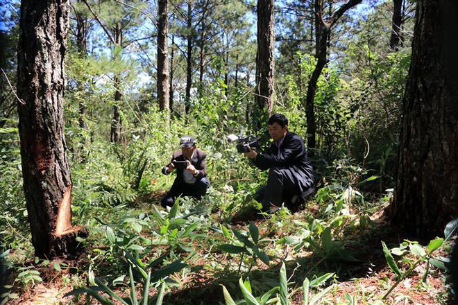 Điều tra vụ đầu độc thông rừng trong Vườn Quốc gia Bidoup-Núi Bà ảnh 1