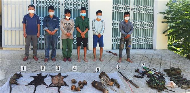 Thừa Thiên-Huế: Bắt giữ 6 đối tượng săn bắn thú trái phép ảnh 1