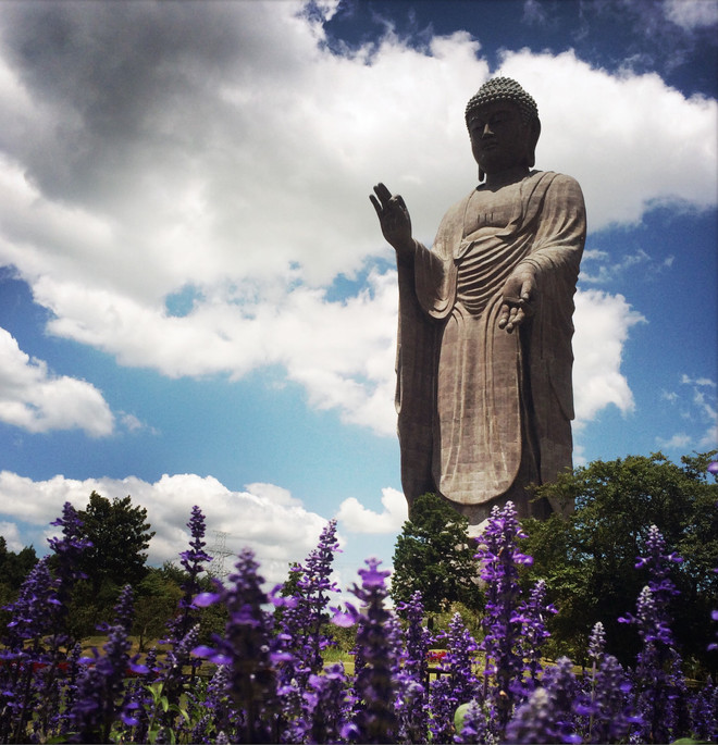 [Video] Linh thiêng bức tượng Phật bằng đồng lớn nhất thế giới ở Nhật ảnh 1