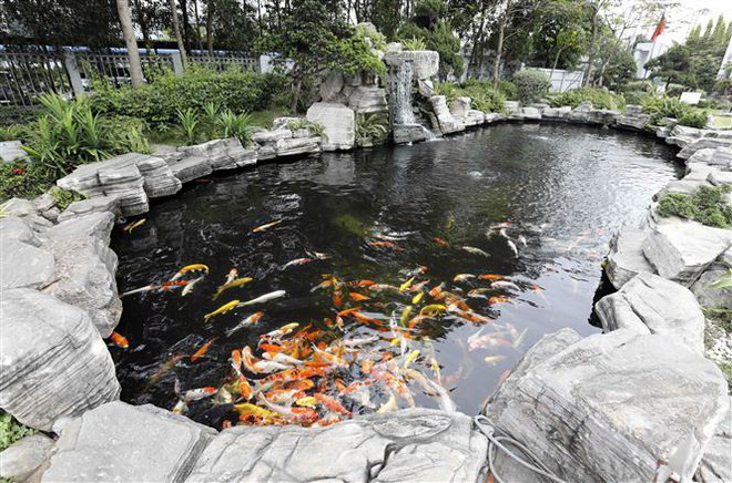 Tham vọng phát triển Khu công nghiệp Net Zero: Còn nhiều rào cản ảnh 2