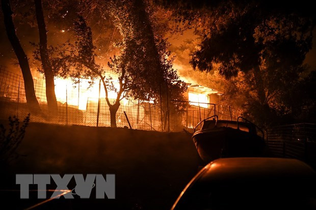 Ảnh minh họa. (Nguồn: AFP/TTXVN) Cháy rừng do nắng nóng tại Algeria khiến 15 người thiệt mạng ảnh 1