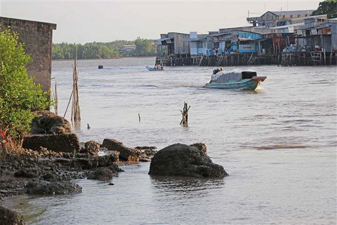 Cà Mau: Trên 100km bờ sông, bờ biển bị sạt lở ở mức nguy hiểm ảnh 1