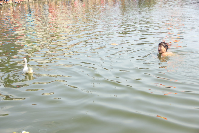 Hà Nội: Tưng bừng hội thi bắt vịt tại lễ hội Xuân Lại Yên ảnh 3