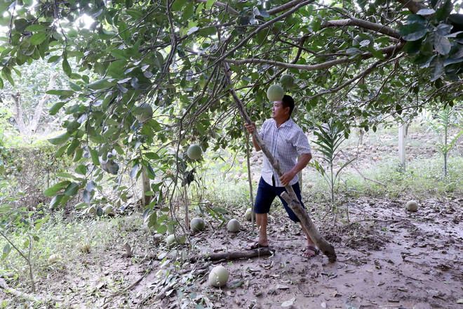 ttxvn_bao so 3_tuyen quang.jpg