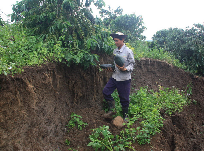 Tìm ra nguyên nhân gây hiện tượng rạn, nứt đất ở Gia Lai ảnh 1