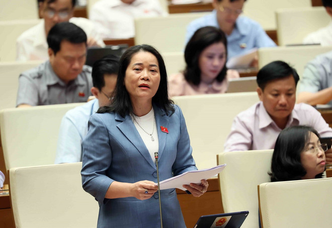 Đại biểu Quốc hội tỉnh Hậu Giang Lê Thị Thanh Lam phát biểu. (Ảnh: An Đăng/TTXVN) ttxvn_hop quoc hoi 2.jpg