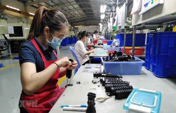 Công nhân tại một nhà máy ở Đồng Nai. (Ảnh: Minh Hưng/TTXVN) Nâng cao mức sống, cải thiện điều kiện làm việc của người lao động ảnh 2