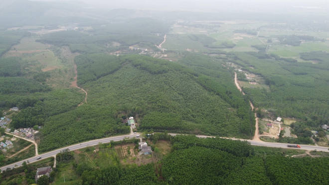 Đầu tư các hành lang kinh tế Đông-Tây, tăng cường liên kết vùng ảnh 1