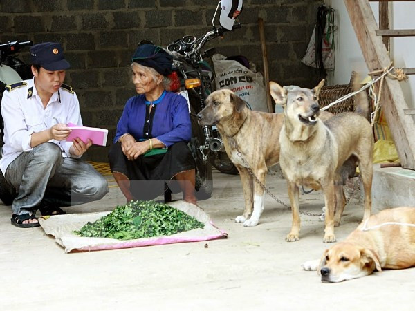 Phần lớn số ca tử vong vì bệnh dại do không tiêm vắcxin kịp thời ảnh 1