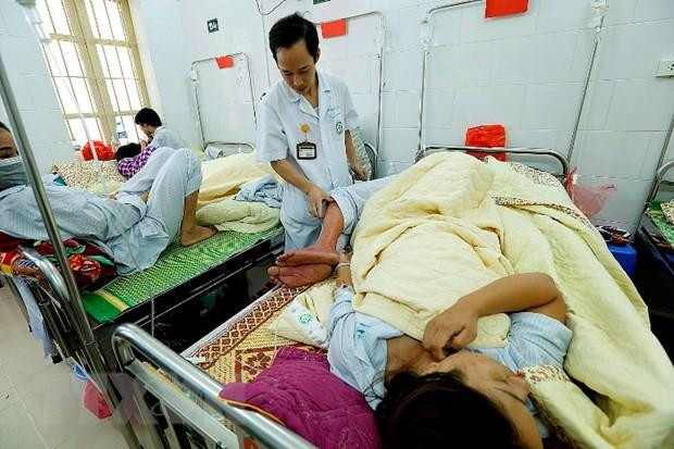 Bệnh nhân sốt xuất huyết điều trị tại bệnh viện. (Ảnh: Dương Ngọc/TTXVN) Số ca sốt xuất huyết ở Hà Nội tăng hơn 3 lần so với cùng kỳ năm ngoái ảnh 1