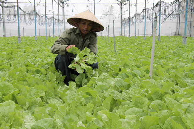 Đồng Nai hướng đến phát triển nông thôn mới theo chiều sâu ảnh 2