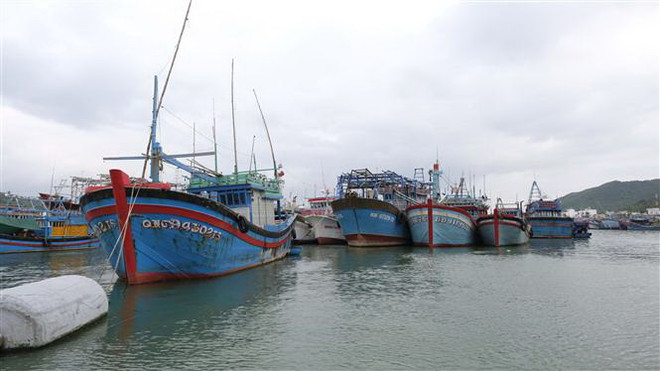 Giải quyết vấn đề mấu chốt để gỡ cảnh báo 'thẻ vàng' IUU trong năm nay ảnh 1