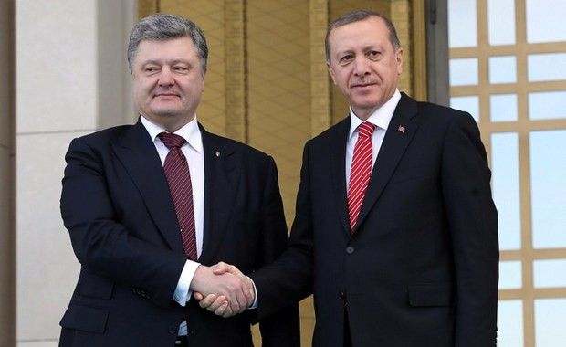 Tổng thống Thổ Nhĩ Kỳ và Ukraine thảo luận hợp tác chiến lược ảnh 1