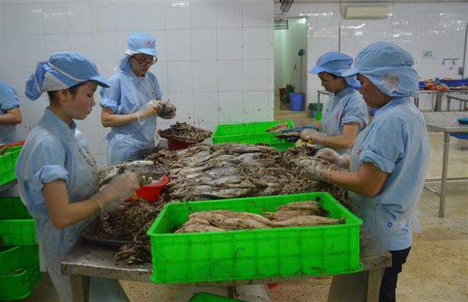 Khắc phục "thẻ vàng" IUU: Phát triển nghề cá theo thông lệ quốc tế ảnh 2