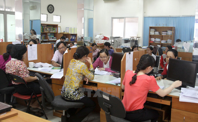 Thực hiện các giải pháp chống chuyển giá ở Thành phố Hồ Chí Minh ảnh 1