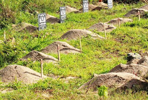 Vụ di dời mộ ở Khánh Hòa: Giải quyết theo nguyện vọng của người dân ảnh 1