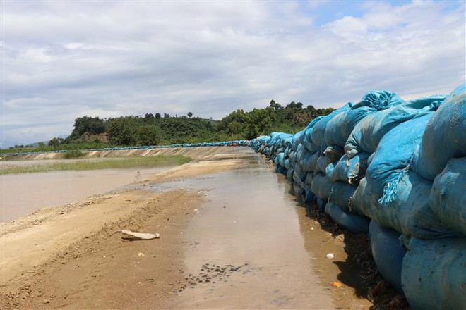 Đắk Lắk: Vỡ đê bao Quảng Điền, hơn 1.000ha lúa ngập trong nước ảnh 1