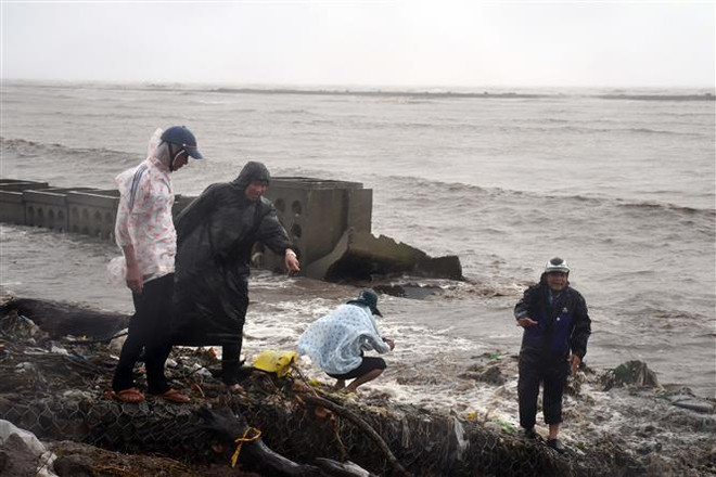 Cà Mau: Xuất hiện thêm 3 vị trí sạt lở rất nguy hiểm tại đê biển Tây ảnh 1