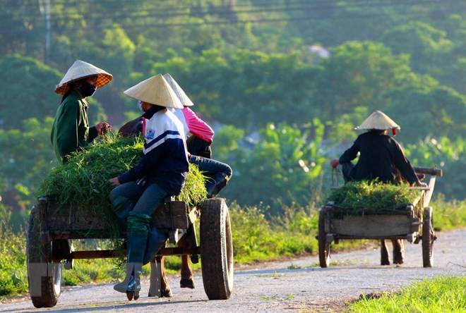 Mô hình Seamaul Undong góp phần thay đổi diện mạo nông thôn Lào Cai ảnh 2