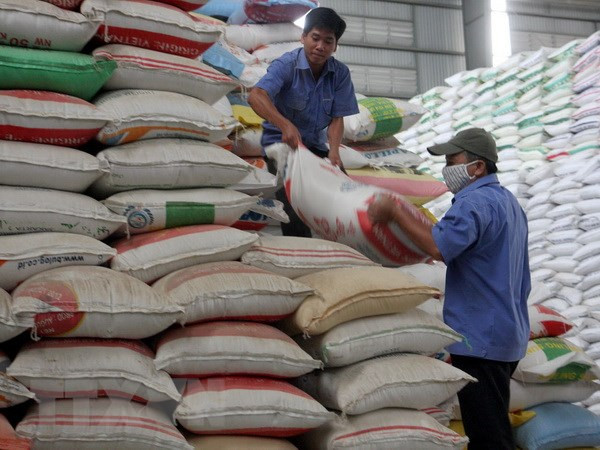 Sóc Trăng: Cấp phát gạo hỗ trợ hộ nghèo dịp Tết Nguyên đán ảnh 1