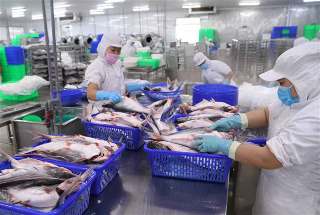Chế biến thủy sản xuất khẩu. (Nguồn: TTXVN) Giải pháp chủ yếu thực hiện Kế hoạch phát triển kinh tế-xã hội 2023 ảnh 1