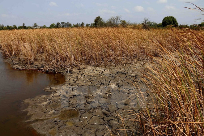 Độ mặn ở Nam Bộ sẽ tăng trở lại, hạ lưu Mekong không có mưa ảnh 1