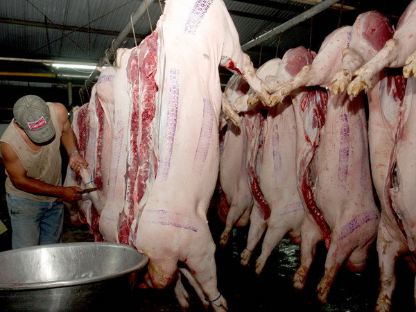 Hà Nội: Hệ thống giết mổ gia súc chưa xứng với chăn nuôi ảnh 1