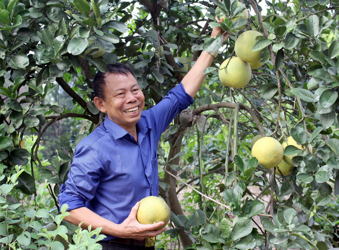 Chuyện về lão nông biến 'vùng đất chết' thành trang trại tiền tỷ ảnh 1