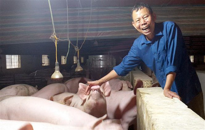 Chuyện về lão nông biến 'vùng đất chết' thành trang trại tiền tỷ ảnh 2