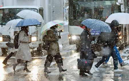 Tuyết rơi dày gây gián đoạn giao thông ở ​Nhật Bản và Mỹ ảnh 1