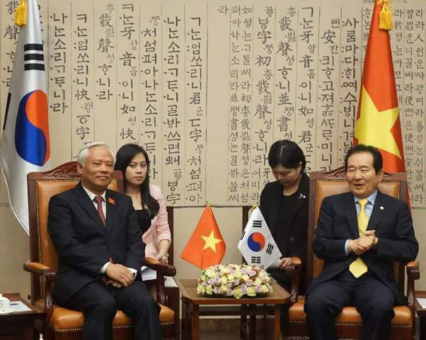 Lê Nguyễn Minh Phương - Cô gái Việt đa tài ở "xứ sở kim chi" ảnh 2