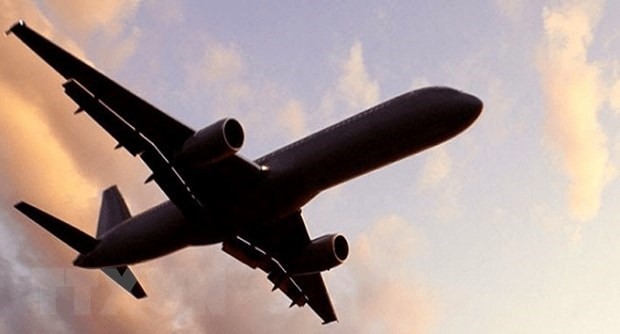 Nam Phi ra mắt hãng hàng không mới bất chấp dịch COVID-19 hoành hành ảnh 1