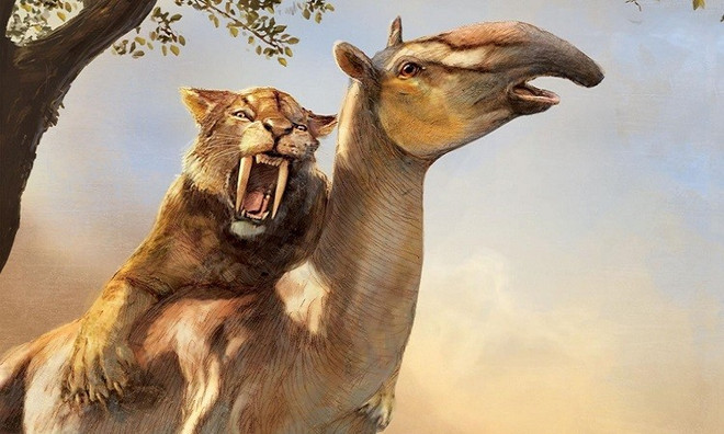 Bán đấu giá bộ xương hổ răng kiếm hóa thạch gần 40 triệu năm tuổi ảnh 1