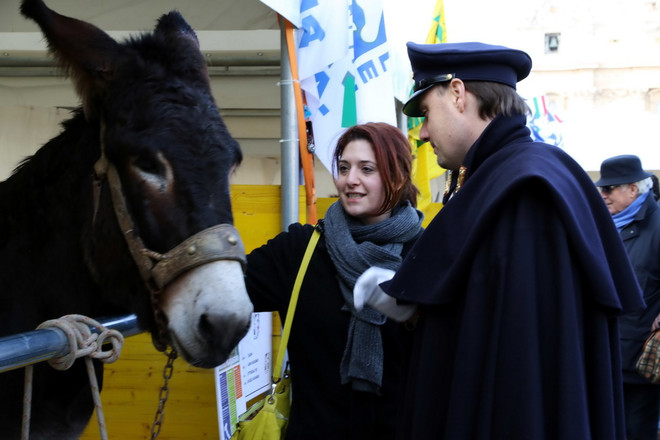 Độc đáo lễ ban phước lành cho động vật ở thủ đô của Italy ảnh 6