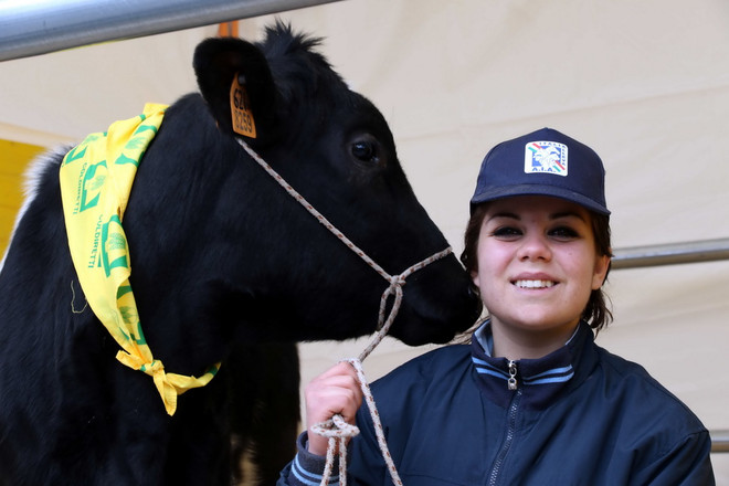 Độc đáo lễ ban phước lành cho động vật ở thủ đô của Italy ảnh 7